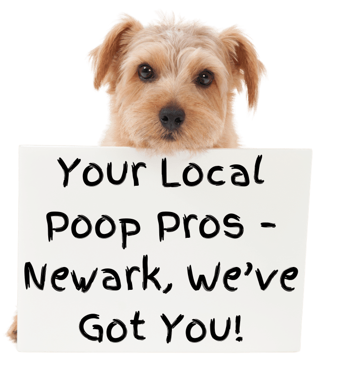 Happy dog holding a sign promoting Oop Scoop’s pooper scooper service and pet waste removal services in Newark, Delaware, for clean and safe yards.