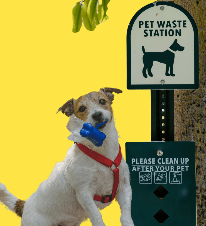 Dog Standing Near Pet Waste Collection Station To Symbolize Commercial Dog Waste Removal Services and Management provided by oop scoop in delaware and surrounding areas.