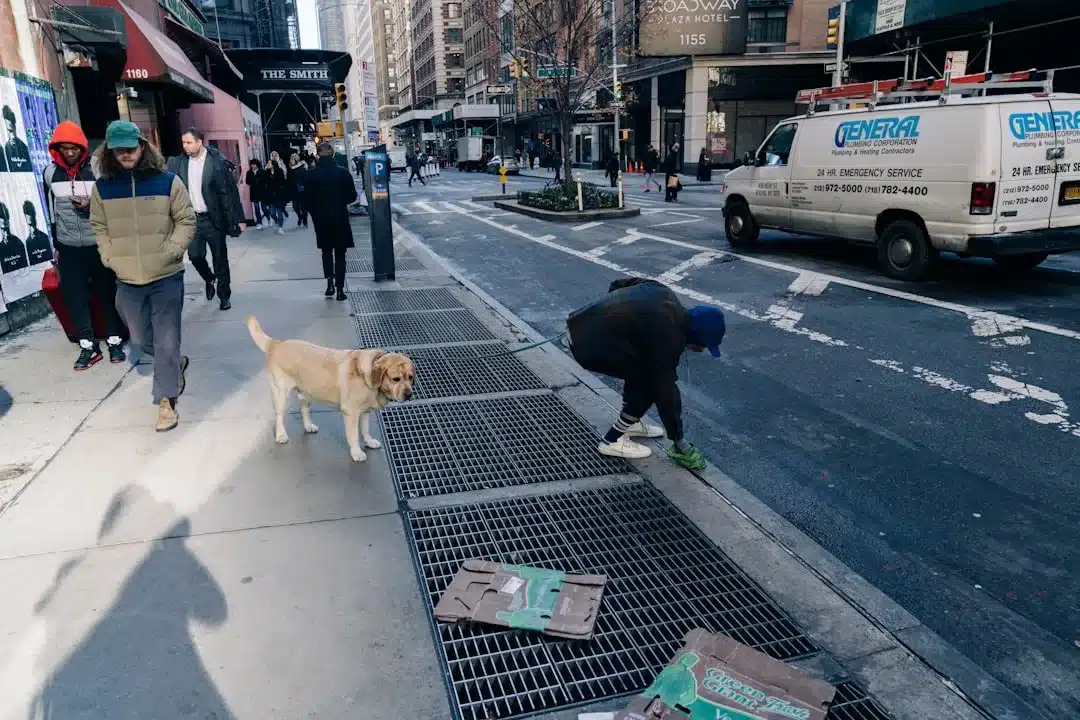 A Walk Through Time: The History of Pet Waste Management and Its Impact on Clean Neighborhoods