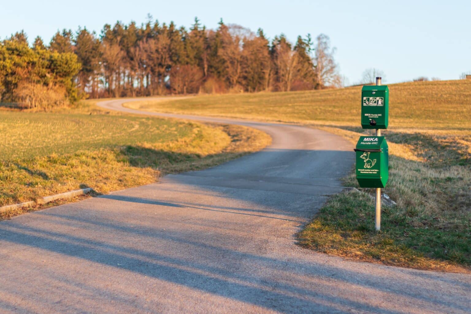 Winding road among container with bags for cleaning the waste products of dogs