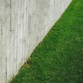Freshly cleaned green grass yard after Oop Scoop pet waste removal service in Delaware and Maryland.