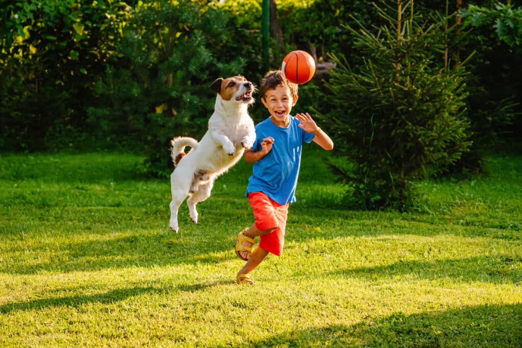 Young boy playing ball in a clean yard with a happy dog, symbolizing Oop Scoop’s mission of providing safe, waste-free outdoor spaces in Delaware and Maryland.